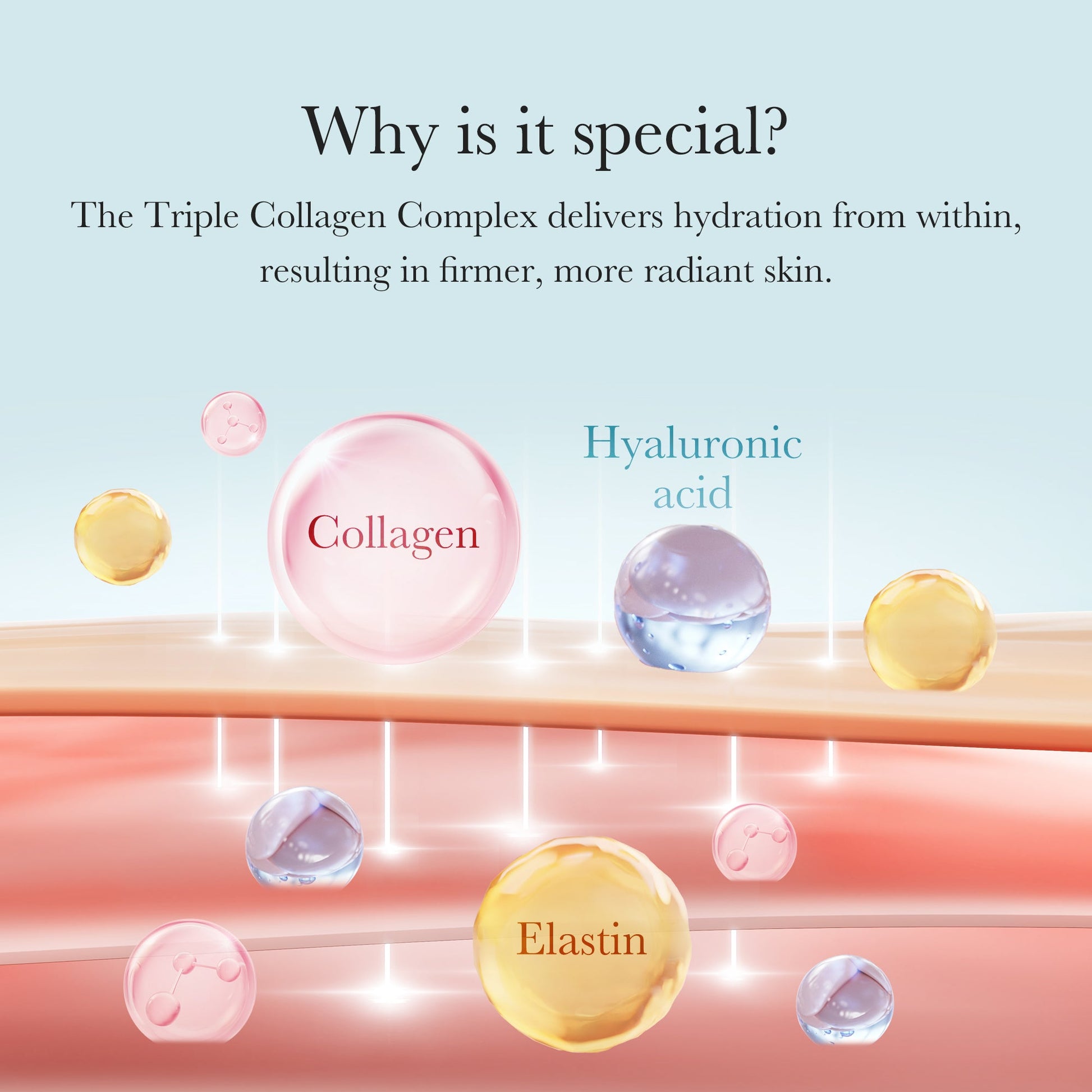 triple-collagen-cream-u4 04_8e4e330d-7d9c-4ff0-93ec-ea541093220c.jpg