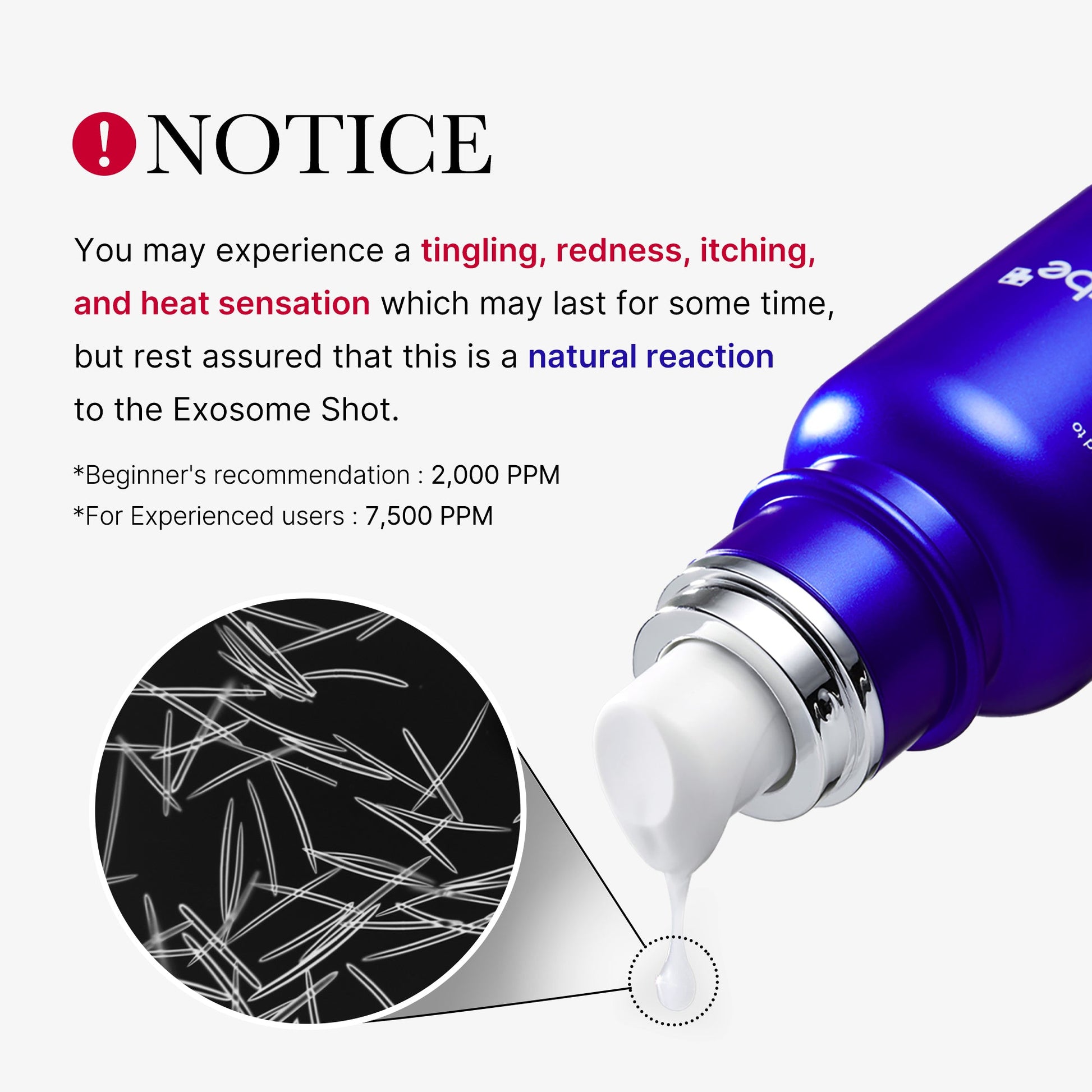 zero-exosome-shot-v3 2_cb8df0ed-40cd-4e2b-89be-7d28dc5cffce.jpg